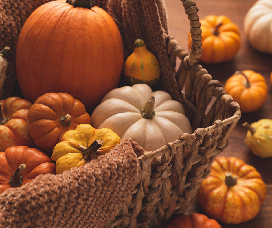 FALL ARTISAN MARKET | SEPT 13
