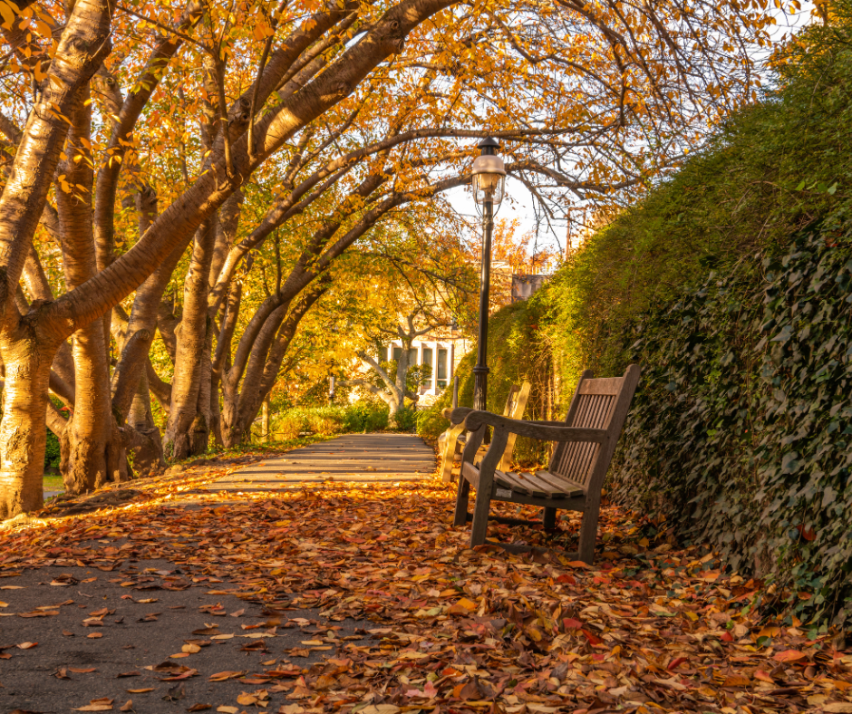 FLEMINGTON HARVEST FEST | OCT. 4